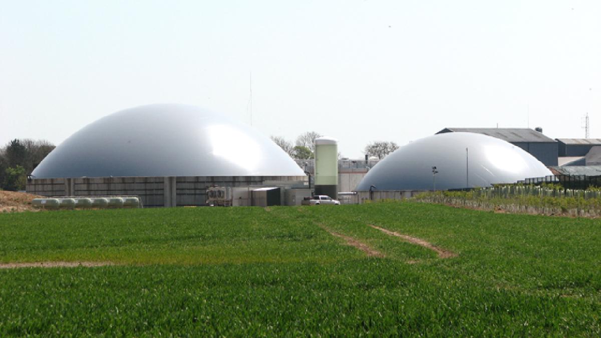 Startup of an Anaerobic Digester Cluster at a Wastewater Treatment Facility